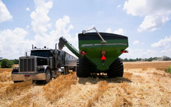 Combine feeds wheat into semi-truck trailer.