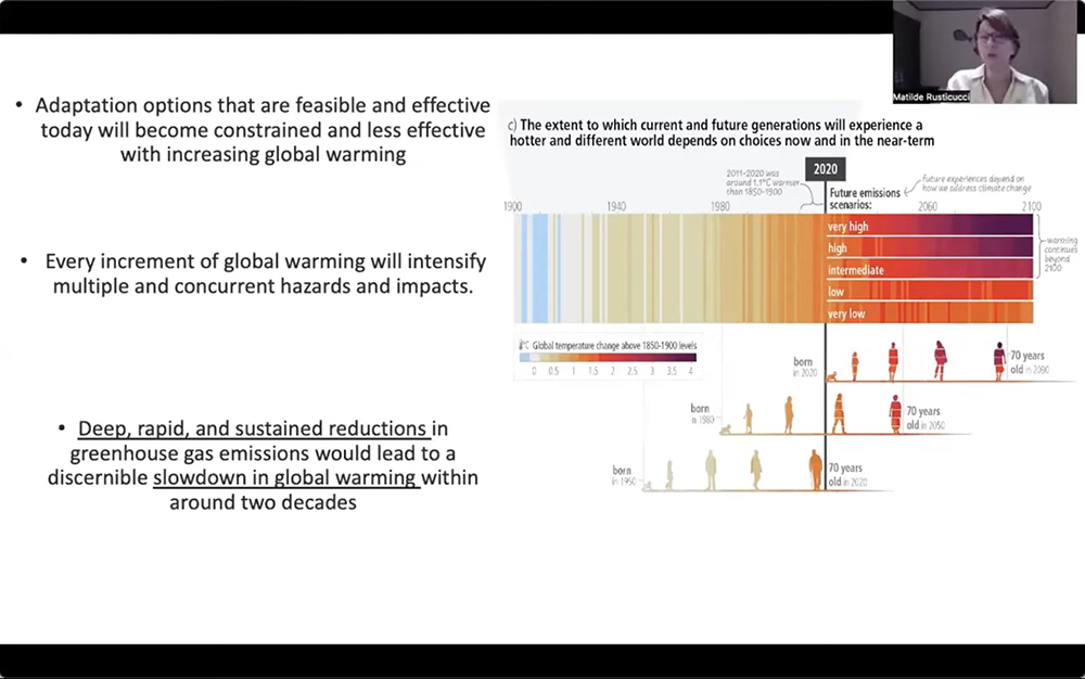 Matilde Rusticucci, a climate scientist at the University of Buenos Aires, discusses the sixth synthesis climate report from the United Nations Intergovernmental Panel on Climate Change during a webinar March 30 hosted by the Laudato Si' Movement. (NCR screenshot)