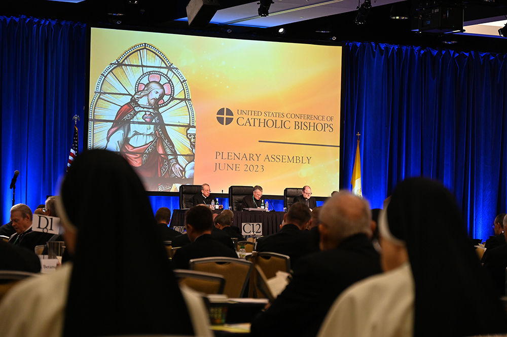 Two nuns, foreground, attend the U.S. Conference of Catholic Bishops meeting in Orlando, Florida, June 15. (RNS/Jack Jenkins)