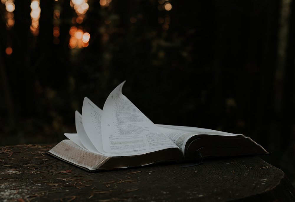 Wind blows pages of an open Bible on the ground in an outdoor setting, in this photo illustration. (Unsplash/Priscilla Du Preez)
