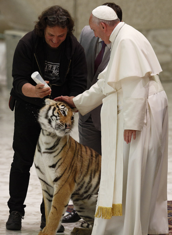 Pope Francis pets a tiger during an audience with circus members in Paul VI hall at the Vatican June 16. (CNS/Paul Haring)