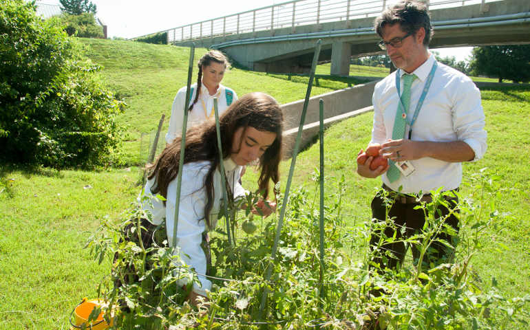 Brent Fernandez, who teaches at Father Ryan High School in Nashville, Tenn., tends the school garden with some of his students Aug. 12. Fernandez is incorporating Pope Francis' encyclical, "Laudato Si'," into their curriculum this school year. (CNS photo/Theresa Laurence)
