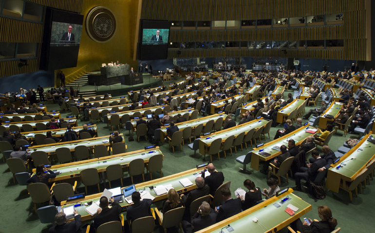 2015 Review Conference of the Parties to the Treaty on the Non-Proliferation of Nuclear Weapons Main Committee Open Meeting at Trusteeship Chamber pamphlets and brochures