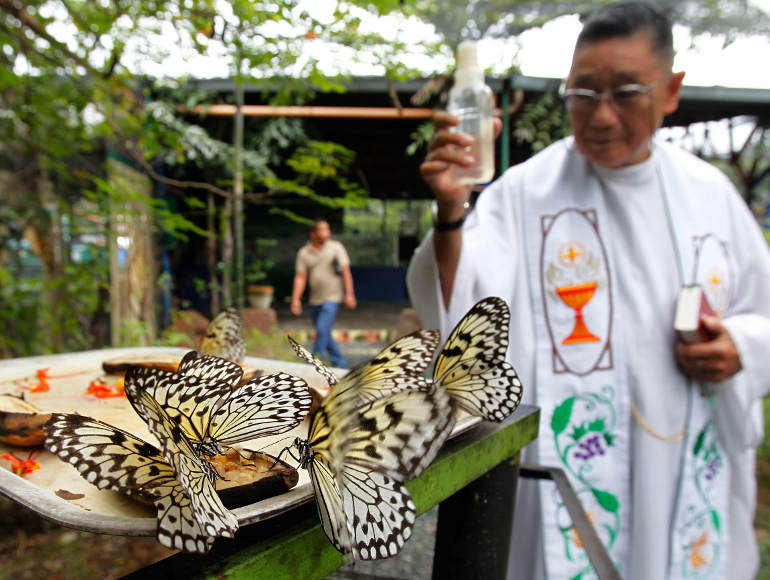A priest sprinkles holy water on butterflies during the blessing of the animals Oct. 4 in Manila, Philippines. The blessing coincided with the feast of St. Francis of Assisi, patron saint of animals. (CNS photo/Romeo Ranoco, Reuters) (Oct. 4, 2012)