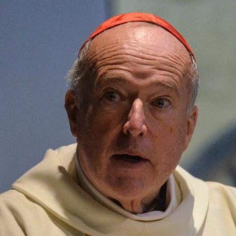 Cardinal Robert McElroy