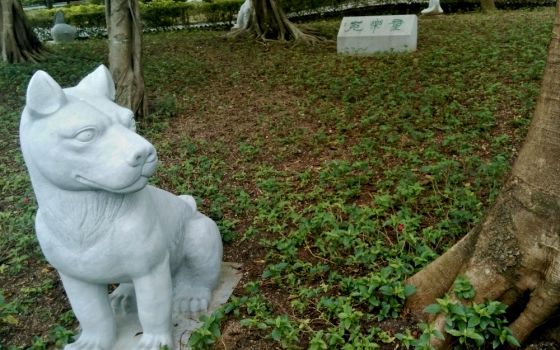 A dog is among 12 statues representing the Chinese zodiac in a park in Kowloon City, Hong Kong. (Wikimedia Commons/Yd712015)