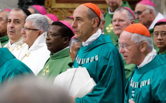 Men wearing green or white vestments wear red or violet zucchettos while facing forward