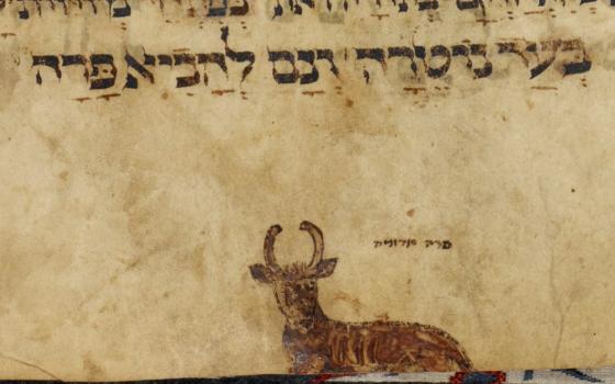 A miniature of a red heifer is seen in the lower margin illustrating a liturgical poem in Hebrew for Shabbat Parah, 1349. (Picryl)
