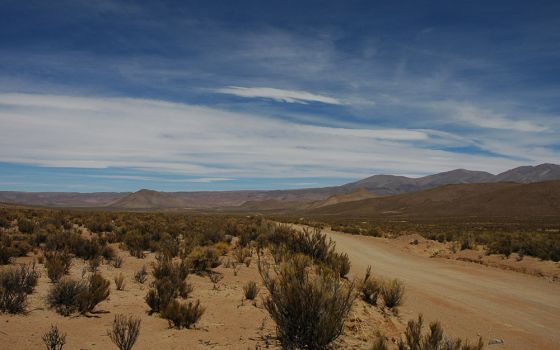 A Gran Chaco landscape in Jujuy Province, Argentina (Wikimedia Commons/Valerio Pillar)
