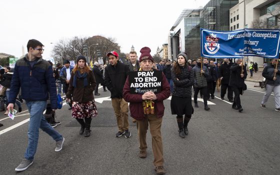 People walk up Constitution Avenue headed toward the U.S. Supreme Court while participating in the 47th annual March for Life in Washington Jan. 24. (CNS/Tyler Orsburn)