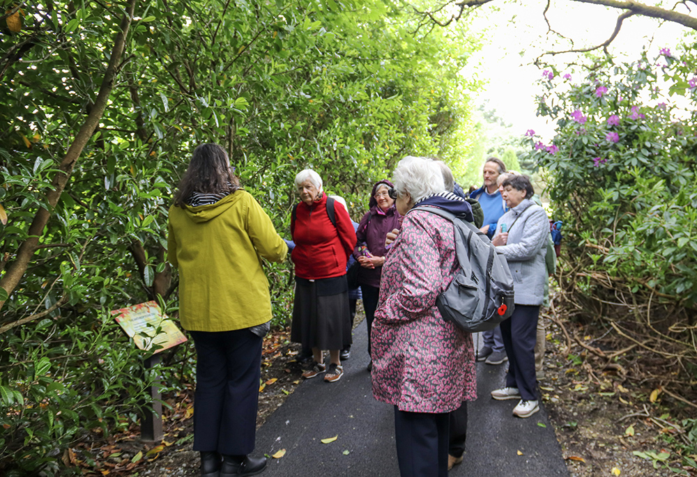 Visitors to Ireland's Knock Shrine are pictured on the newly launched Creation Walk, May 25, in Knock, County Mayo, Ireland. (Sinead Mallee)