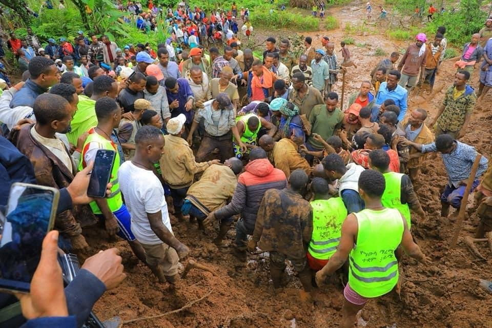 Large group of people dig through mud looking for survivors. 