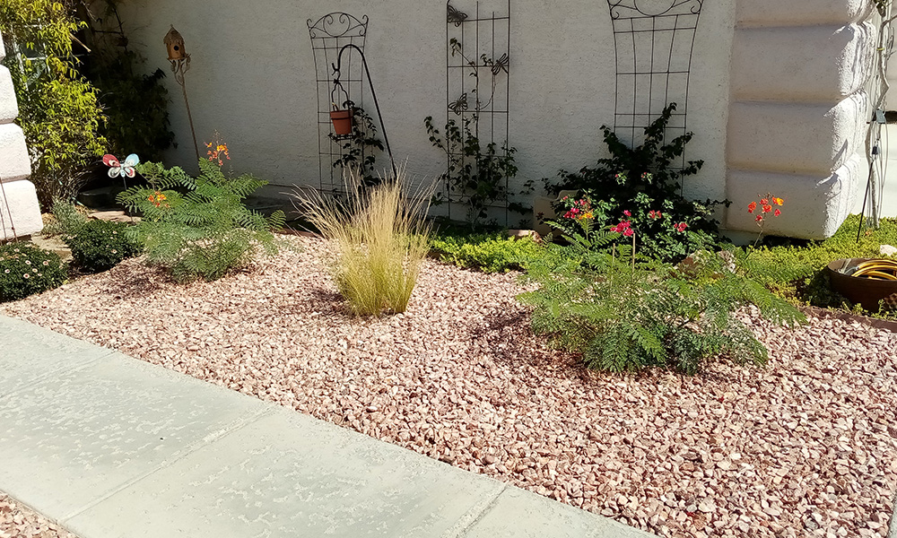 Margie Klein's yard is pictured after it had been converted to a xeric landscape, including rockscaping and southwestern native plants. (Courtesy of Margie Klein)