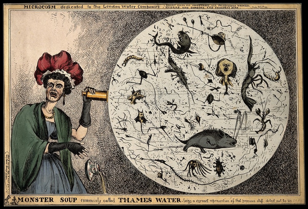 Cartoon depicts woman aghast and seeing microbial content of the Thames river. 