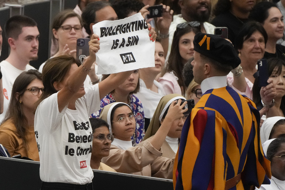 PETA protesters interrupt Pope Francis' Vatican audience, call on him ...