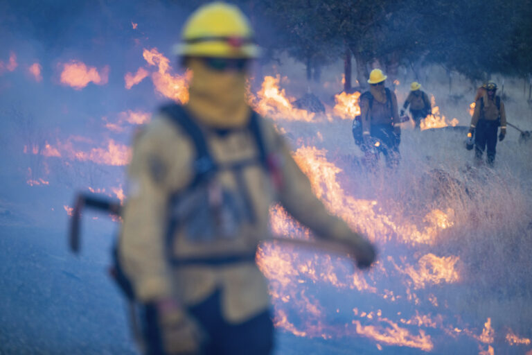 Firefighters wearing gear walk through burning field. 