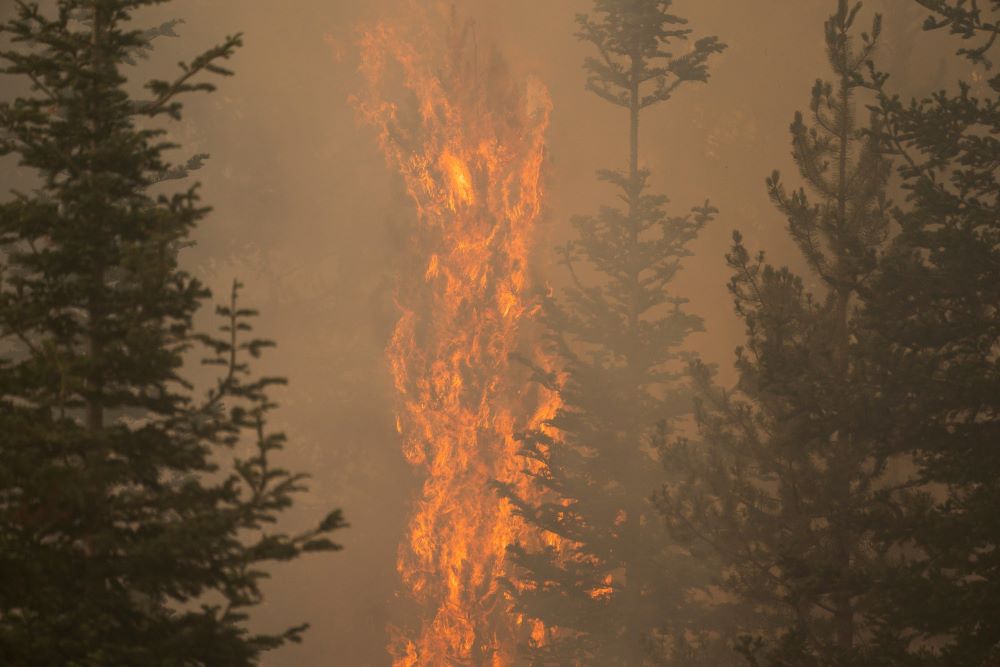 The Bootleg Fire burns through vegetation near Paisley, Ore., July 20, 2021. 