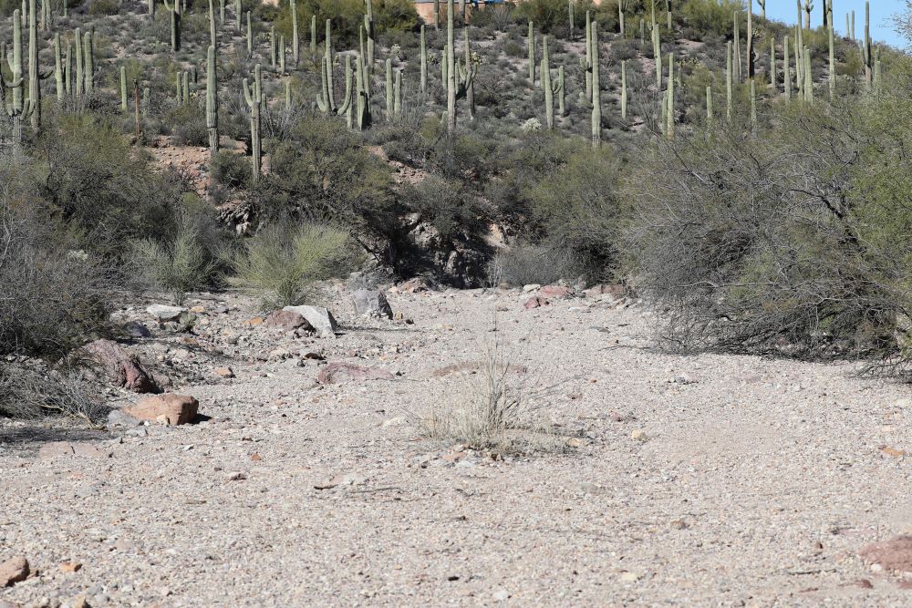 A dried-up creek bed along Camino de Oeste Trailhead in Tucson, Arizona