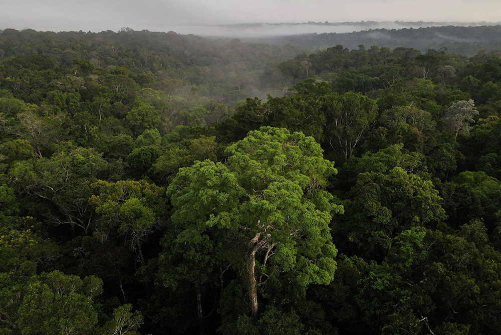 Una vista aérea muestra árboles mientras sale el sol en la selva amazónica en Manaus, en el estado brasileño de Amazonas, el 26 de octubre de 2022. (Foto: OSV News/Reuters/Bruno Kelly)