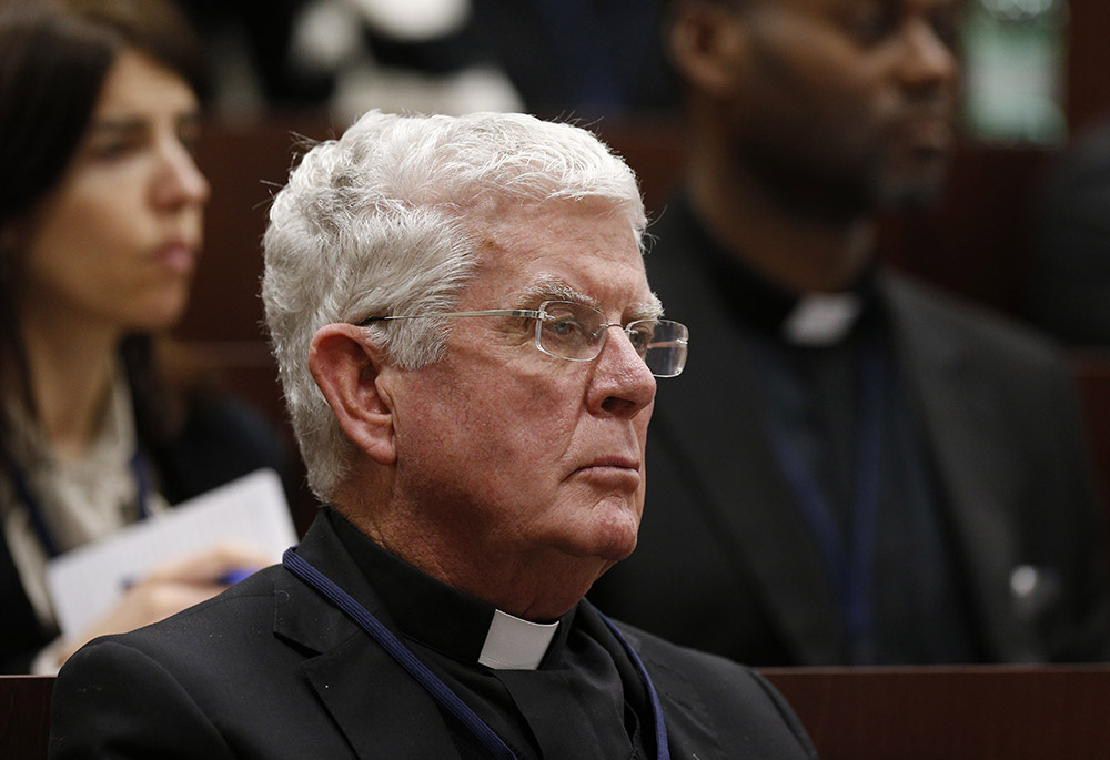 Fr. Robert McCulloch of the Missionary Society of St. Columban attends a seminar on safeguarding children in Rome in this March 23, 2017, file photo. (CNS/Paul Haring)