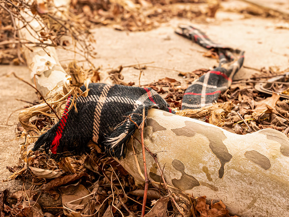 Plaid scarf, on banks of Swannanoa River, near Biltmore Village, Dec. 13, 2024 (Darlene O'Dell)