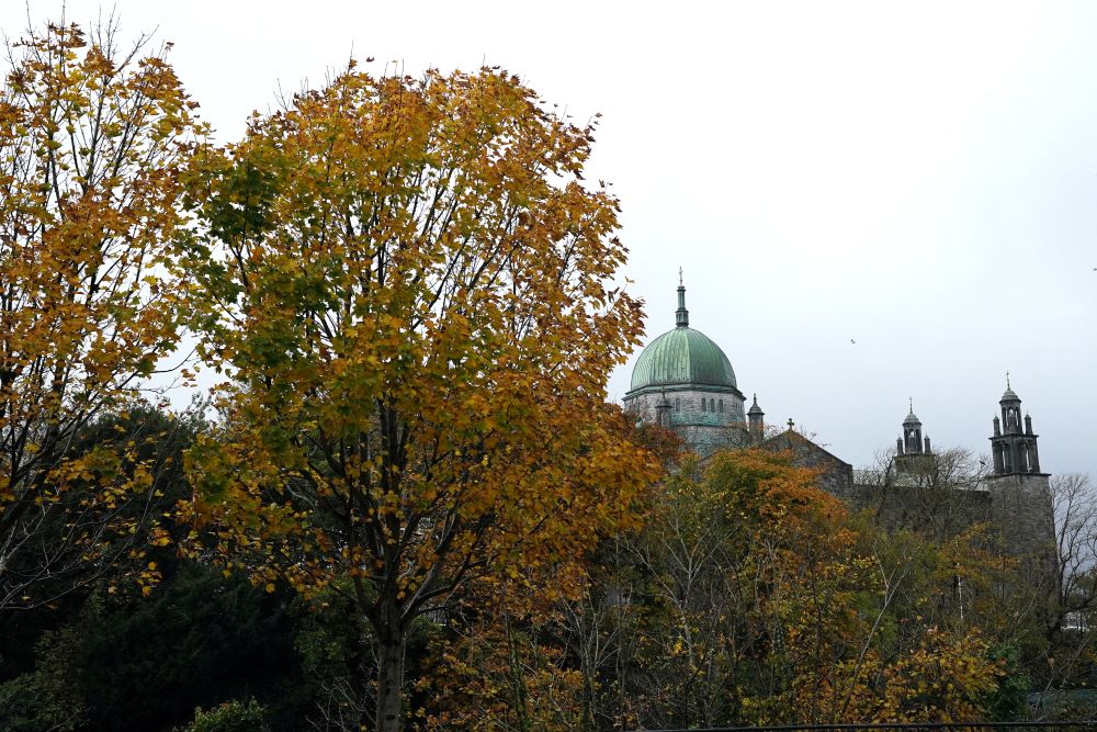 Cathedral steeple seen among trees.