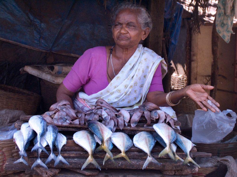 Female fish vendors in India face numerous challenges as they work to support themselves and their families. (Wikimedia/Creative Commons/CC BY-SA 3.0/Jorge Royan)