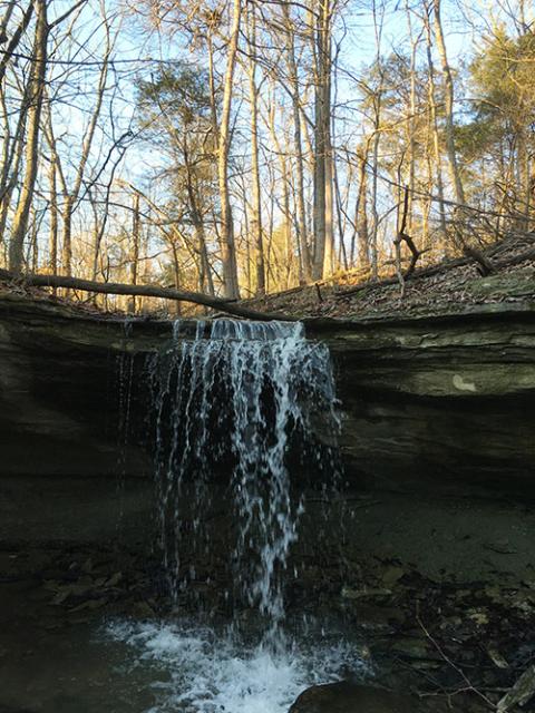 Waterfall at Loretto Motherhouse Farm (Susan Classen)