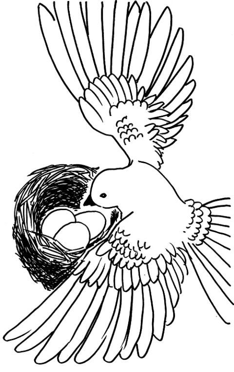 May 2023 Completed Coloring Pages  Finished Coloring Pages 