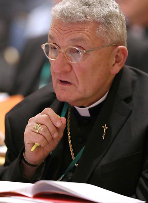 Pittsburgh Bishop David Zubik at the 2018 fall general assembly of the U.S. Conference of Catholic Bishops in Baltimore (CNS/Bob Roller)