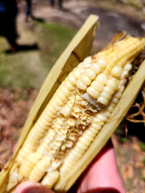 Fresh corn offered to visitors by the community of nearly 40 families in a remote part of Los Hornos. When Catholic Relief Services arrived there in 2015, they encouraged the community to organize and together identify projects that would improve their lives. Such priorities have included training on potable water, funding for home construction projects and installing irrigation. (NCR photo/Brian Roewe)