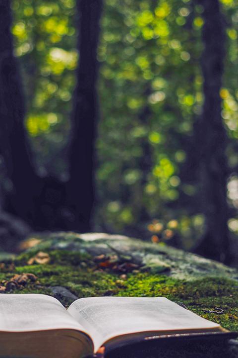 Bible lying on a mossy rock in the woods (Unsplash/Jessica Mangano)