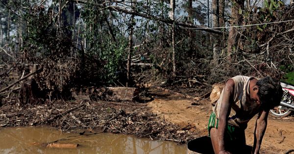 The hunger for gold in the Madeira River - Amazônia Real