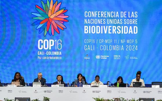 The United Nations biodiversity summit, known as COP16, is being held in Cali, Colombia. The international meeting is the first since countries in 2022 adopted a landmark deal aimed at halting and reversing the loss of biodiversity and ecosystems around the globe. (Flickr/UN Biodiversity)