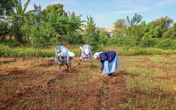 Striving for sustainability: Holy Trinity Sisters tend to their crops in Isiolo, Kenya. (Catherine Ciingi)