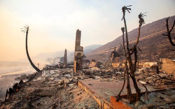 Charred building remains and tree dot smokey beach.