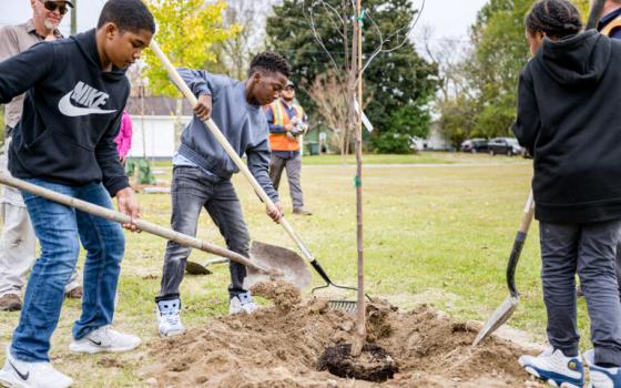 A group of young people shovel soil around base of newly planted tree. 