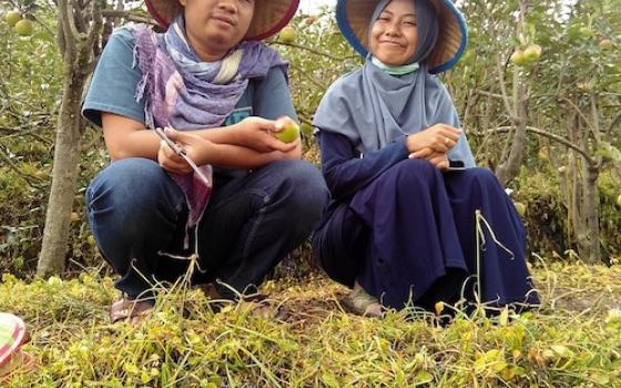 farmers in a field