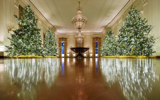 Christmas trees in the East Room of the White House in Washington Nov. 30 (CNS/Reuters/Kevin Lamarque)